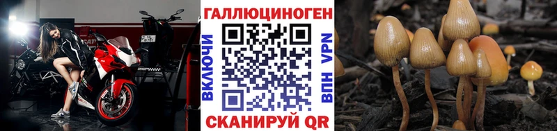 Псилоцибиновые грибы Psilocybine cubensis  наркошоп  Лыткарино 